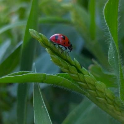 ArevRo27's profile picture. Si uno nace débil ¿a qué dios debe recurrir en busca de consuelo?
    -Sunday