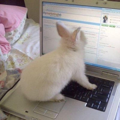 lihappyera's profile picture. grapefruit muncher