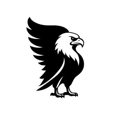 Valki_Wiki's profile picture. Wealth is rhythm, not reaction. @Valki_Talki 🦅