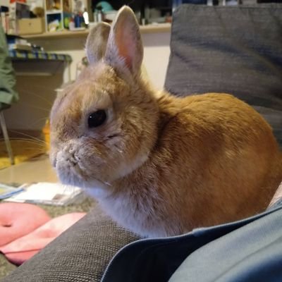 ざさんのプロフィール画像