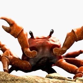 かに🦀さんのプロフィール画像