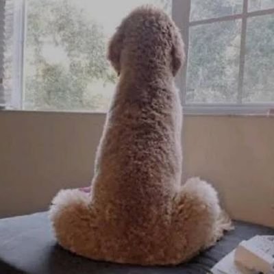 shamforlay1337's profile picture. sol:Cg9Uny6dEMyCDxum1iK9YXJ6f5gFdamJE399inKY1H2S

btc:bc1qfjsp2evxyfwmzwq32ll3hugn6zt8l9a4fxwk4m

eth/bnb:0xac2691d1f96fec2f6f7065f57f21442ea3fb5891