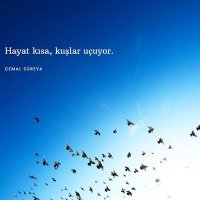Hulya (@hulya2142) 's Twitter Profile