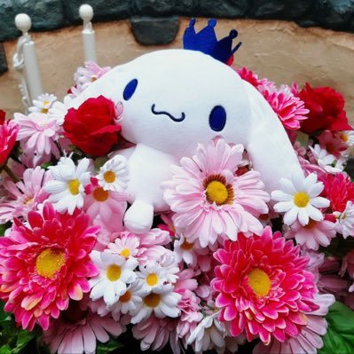 日々楽しくをモットーに過ごすサンリオ&ディズニー大好き主婦。ダッフィーフレンズは心の癒し。ポムポムプリンくん&シロップくん推し。たまにコスプレしたりする