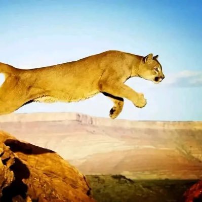 BD4REN_Lucky's profile picture. Borinng guy