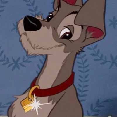 @syttked