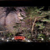 W (@weiwei29ki) 's Twitter Profile