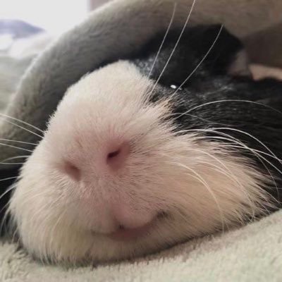 h0lidaybaby's profile picture. 그여자 미친여자 아니고 슬픈여자예요 @iamyourbvnny