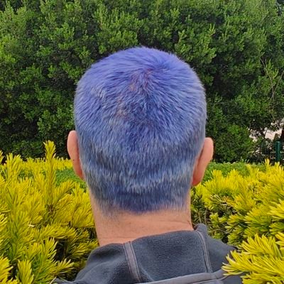 barmatal's profile picture. Hello, other grown up