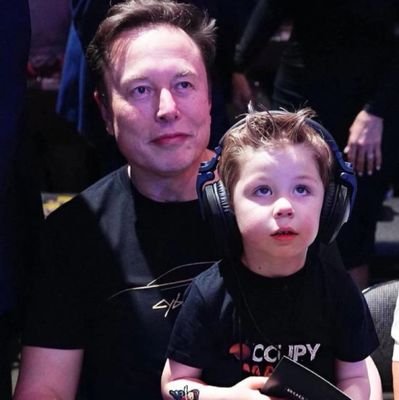 CEO Of Tesla motors, chief technology officer of spacex