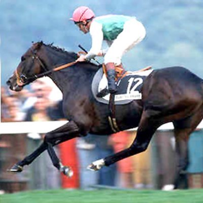 Horse racing enthusiast. National Hunt fan.