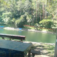 kembali pulang (@rudikaka489680) 's Twitter Profile