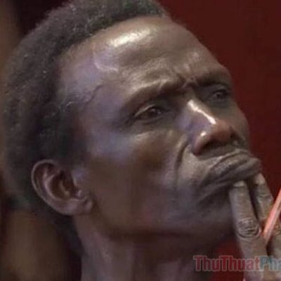 dat_diep65824's profile picture. 