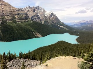 cellosoyoung's profile picture. I love 여행,캠핑,자전거,스쿠버..우리 교향악단 사랑해요♥ kbs교향악단 단원