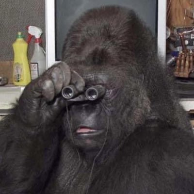 geemacl's profile picture. Singing Lead Soprano In A Junkmans Choir