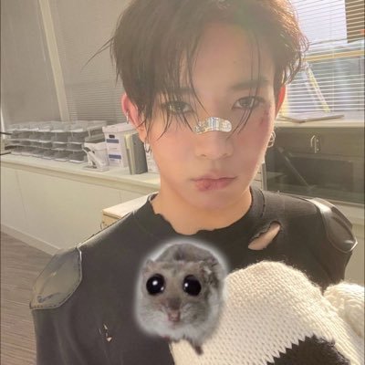 maownunvs's profile picture. x _ x