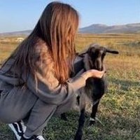 Marina (@alfuvoo579) 's Twitter Profile