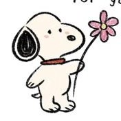 beapink__'s profile picture. 4+7