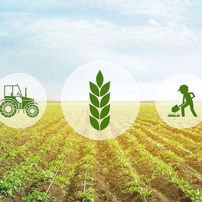 Passionate about global markets and Agriculture strategies with mechanisms for market demand.
