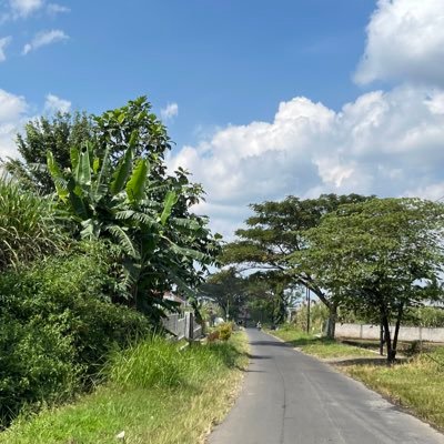 nikkiaja26's profile picture. https://t.co/qC8DYG1Gjj Joki spss, karya tulis ilmiah dalam bentuk apapun, statistika, dan semua jenis tugas kuliah 🤗 wa berubah ke 082142453161