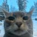 meowgii 😼 (@uhhmeowgii) Twitter profile photo meowgii 😼 (@uhhmeowgii) Twitter profile photo