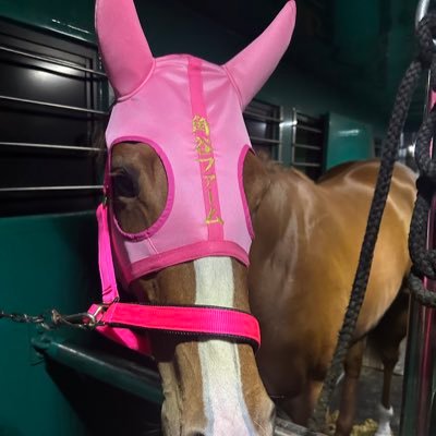 kazushige0117's profile picture. 群馬で牧場してます。 よろしくお願いします！
