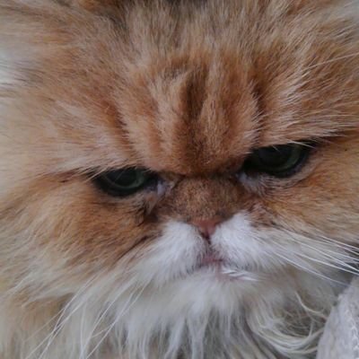 たぼさんのプロフィール画像