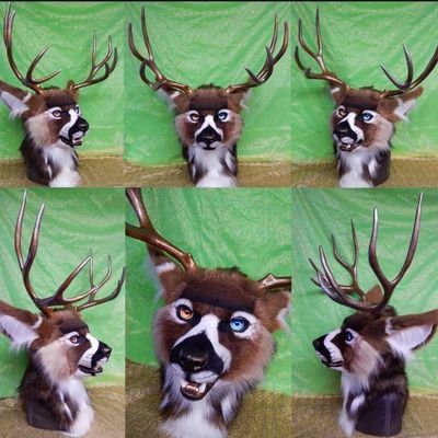 I'm Billie 🐦24 years /She / Pansexual lover 🔞/ Fursuit Maker ✂️Commission Open ✂️