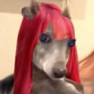 • jichandesu • Profile
