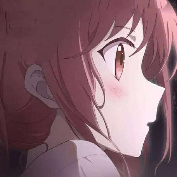 Kelbee437681's profile picture. 🐱【じゅにあ旅行記】 旅するネコじゅにあ🐈 近所のパトロールから日本＆海外旅行へ🌍 ブログで旅の記録を発信中📖