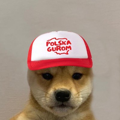 kooberski's profile picture. trenching in the shadows