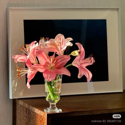 bing1_1's profile picture. 