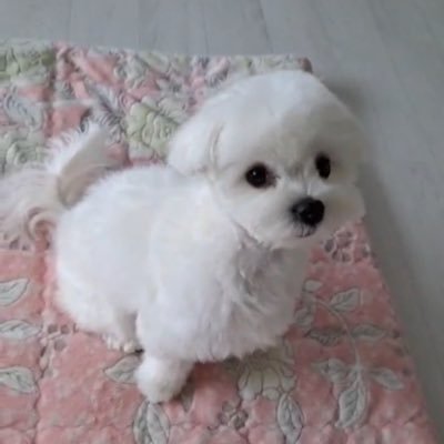 GC_EEE's profile picture. wal