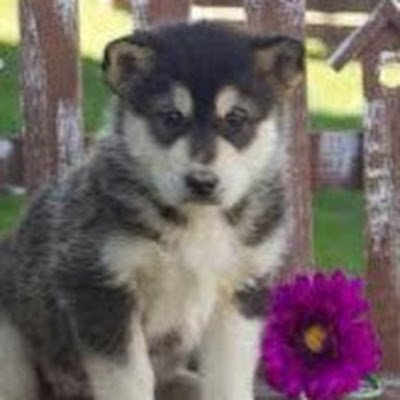 LindseyH68827's profile picture. 