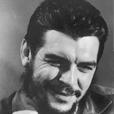 FelsefeKulb6's profile picture. 