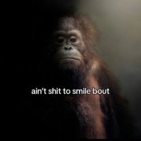 Ezra (@degod_of_crypto) 's Twitter Profile