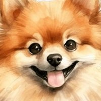 ポメラニアン/インフラ0年目 (@pome_engineer) 's Twitter Profile