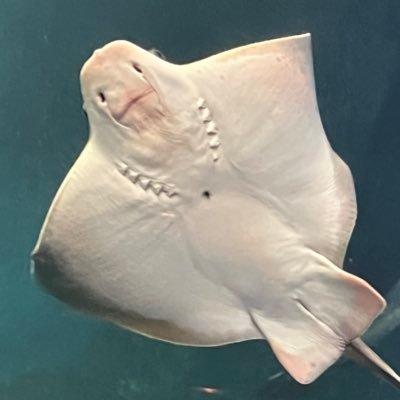 KD0a6tndXM77691's profile picture. 
