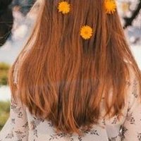 Harriet (@ytruiedea042) 's Twitter Profile