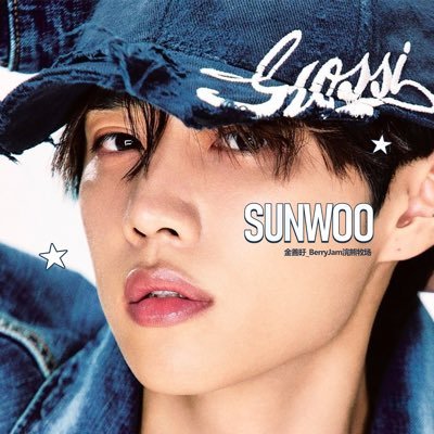 Chinese Fansite ‘BerryJam’ Only for SUNWOO/  #더보이즈 #선우
