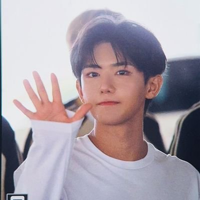 polarixcult's profile picture. victim of survival shows