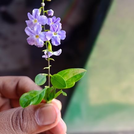 Microgenosud's profile picture. Aquí podrás encontrarte a ti mismo🤍