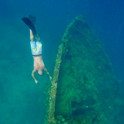 michaelche26649's profile picture. 