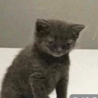 احمدد (@ahmed622702) 's Twitter Profile