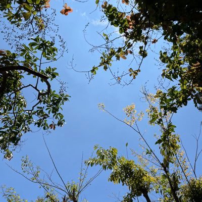 nisnusnos's profile picture. random