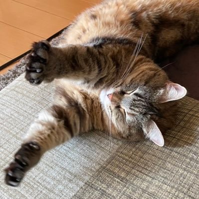 fkmt26's profile picture. どこかのER看護師を辞めてitコンサル