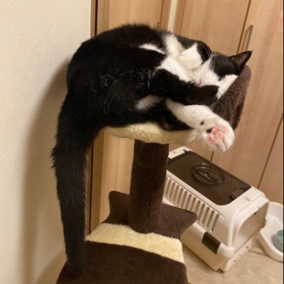 笑顔は無料だが、値段はつけられない。自分が愛する人生を築き、どこにでもポジティブさを広め、自分を愛すればすべてはついてくる。人生は目的地ではなく旅であり、毎日最高の人生を送る独身男性 🇯🇵🇭🇰