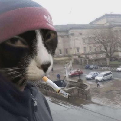 diabloj74's profile picture. 