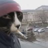 diabloj74's profile picture. 