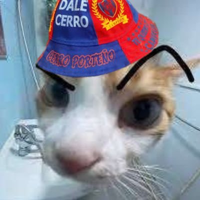 gg_Lukitazzz's profile picture. Dios es mi pastor y nada me va a faltar🙏🙌Lucas Alegre🤙 ||  Cerro Porteño mi vida💙❤️🇵🇾Paraguayo como la mandioca🇵🇾